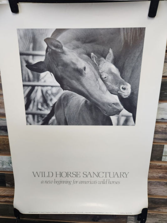 USED  Wild Horse Sanctuary "Snug in a Hug" Poster