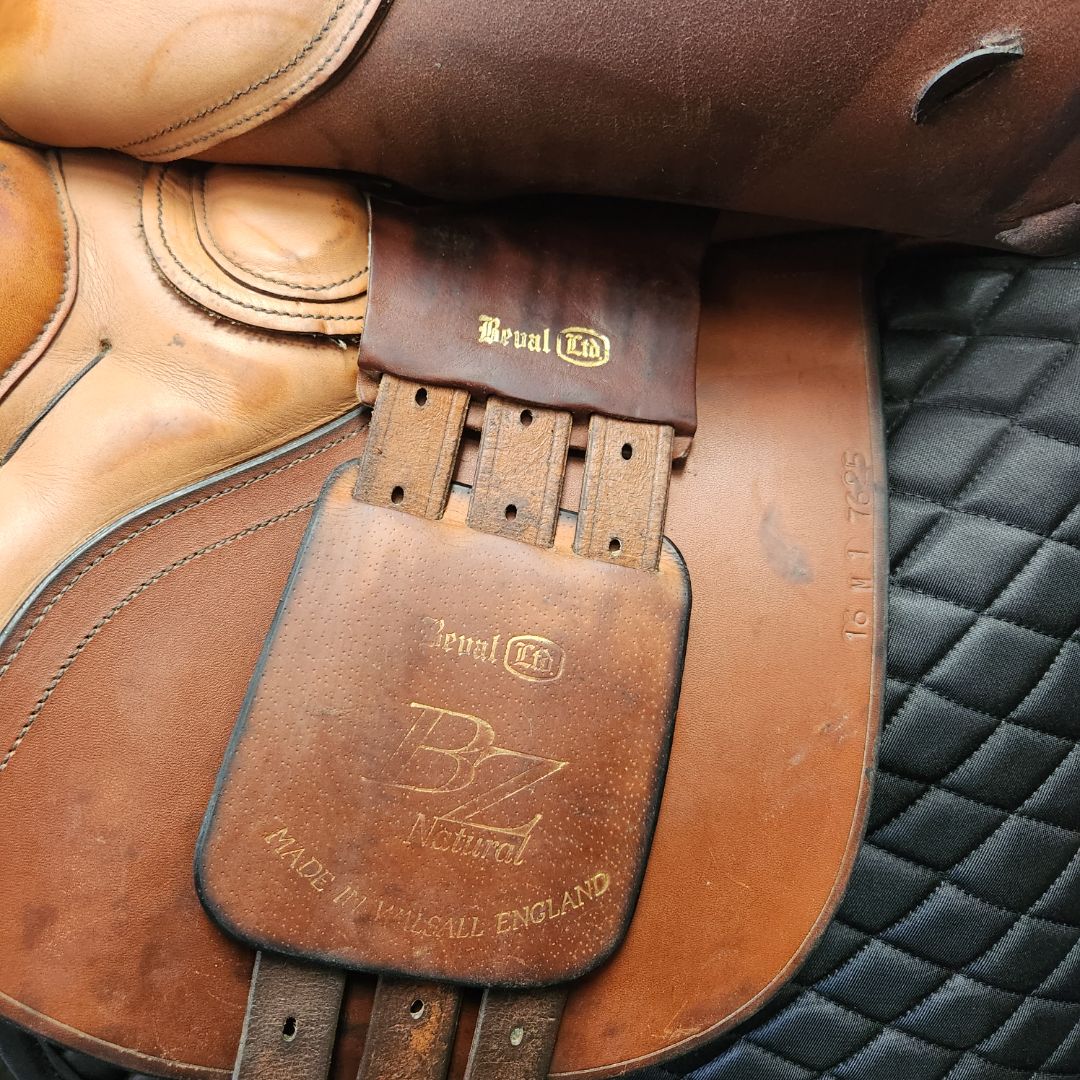 USED Beval BZ Natural Jump Saddle 16" Medium Oil