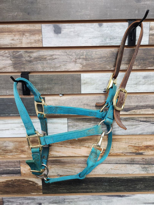 USED Weaver Breakaway Halter Average Teal