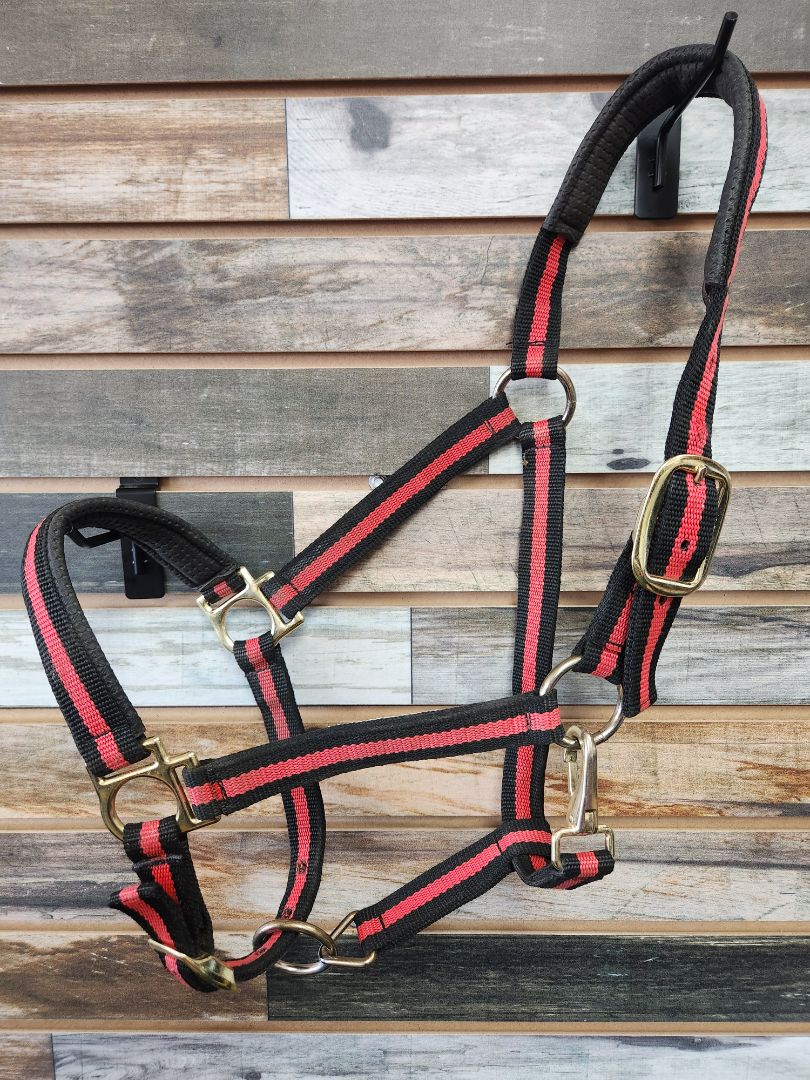 USED Weaver Nylon Halter Average Black & Red