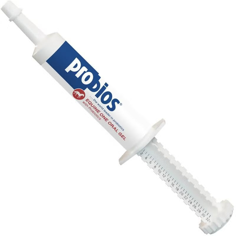 Probios Equine Oral Gel