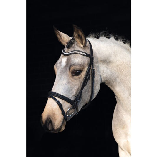 Bridle -Little Star-