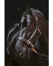 Leather head collar -Rosegold