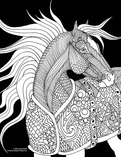 Pretty Horses Kit / 6 Drawings to Color / 24-Colored Pencils