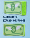 Expanding Bathing Sponges