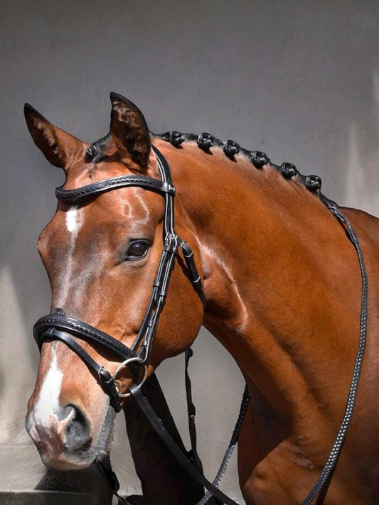 Bridle with classic braided details - European leather