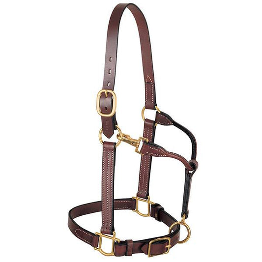 1" 3 in 1 Leather Halter