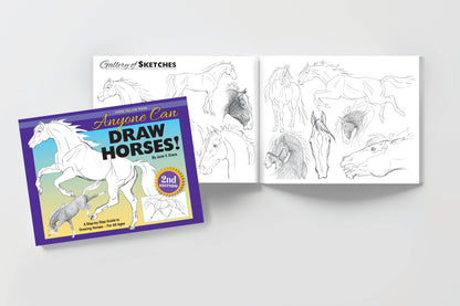 Art Book Horse Equestrian / Anyone Can Draw Horses / All age