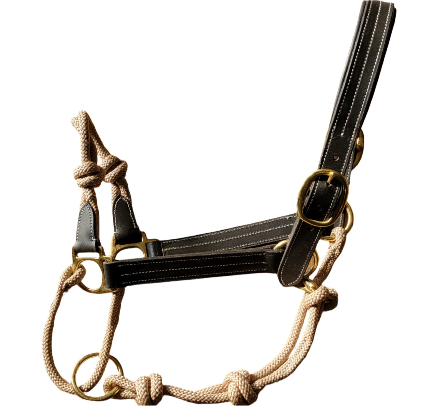 The Phoenix Classic Fusion Halter