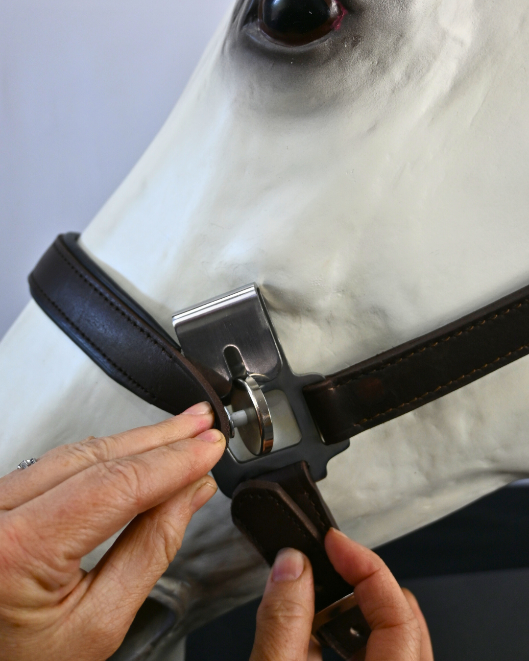 Magna Halter ™ in Blue with Fleece Nose and Fleece Crownpiece Leather Breakaway