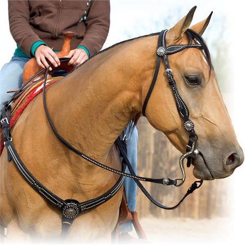 Weaver Back in Black Browband Headstall