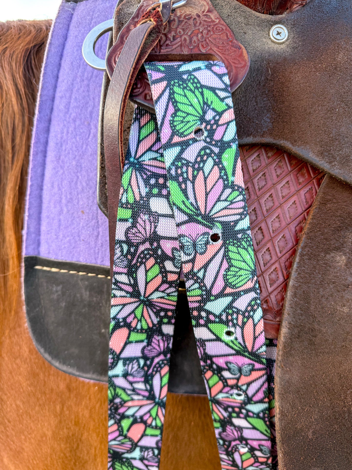 Wings and Wild Things Cinch Strap Set