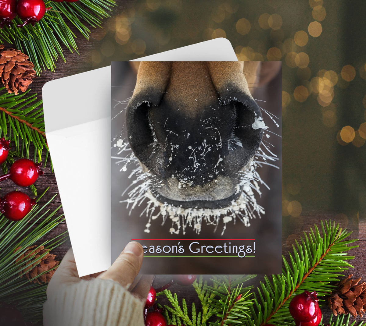 Horse Boxed Christmas Cards | Frosty Muzzle | 8 Holiday
