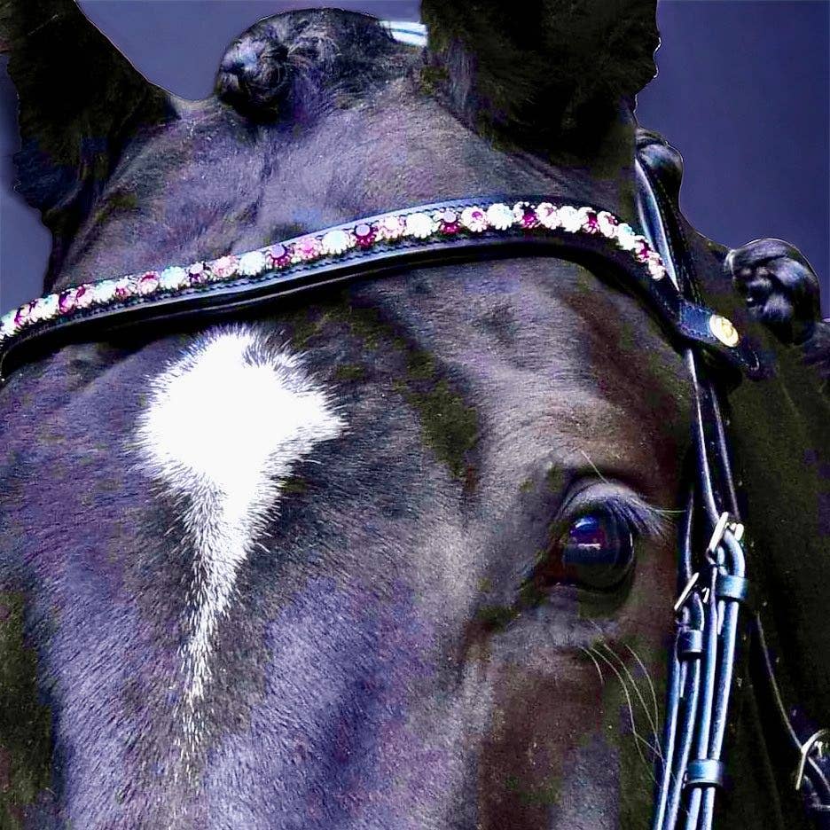 Bridle with quick snap browband on Italian leather