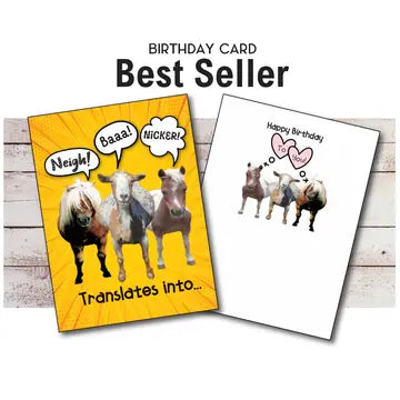Horse Greeting Birthday Card