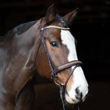 Bonn Crank - Leather Dressage Horse Bridle With Flash