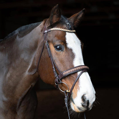 Bonn Crank - Leather Dressage Horse Bridle With Flash