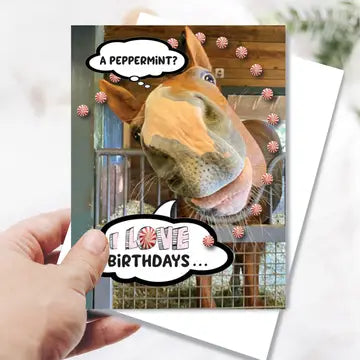 Horse Greeting Birthday Card