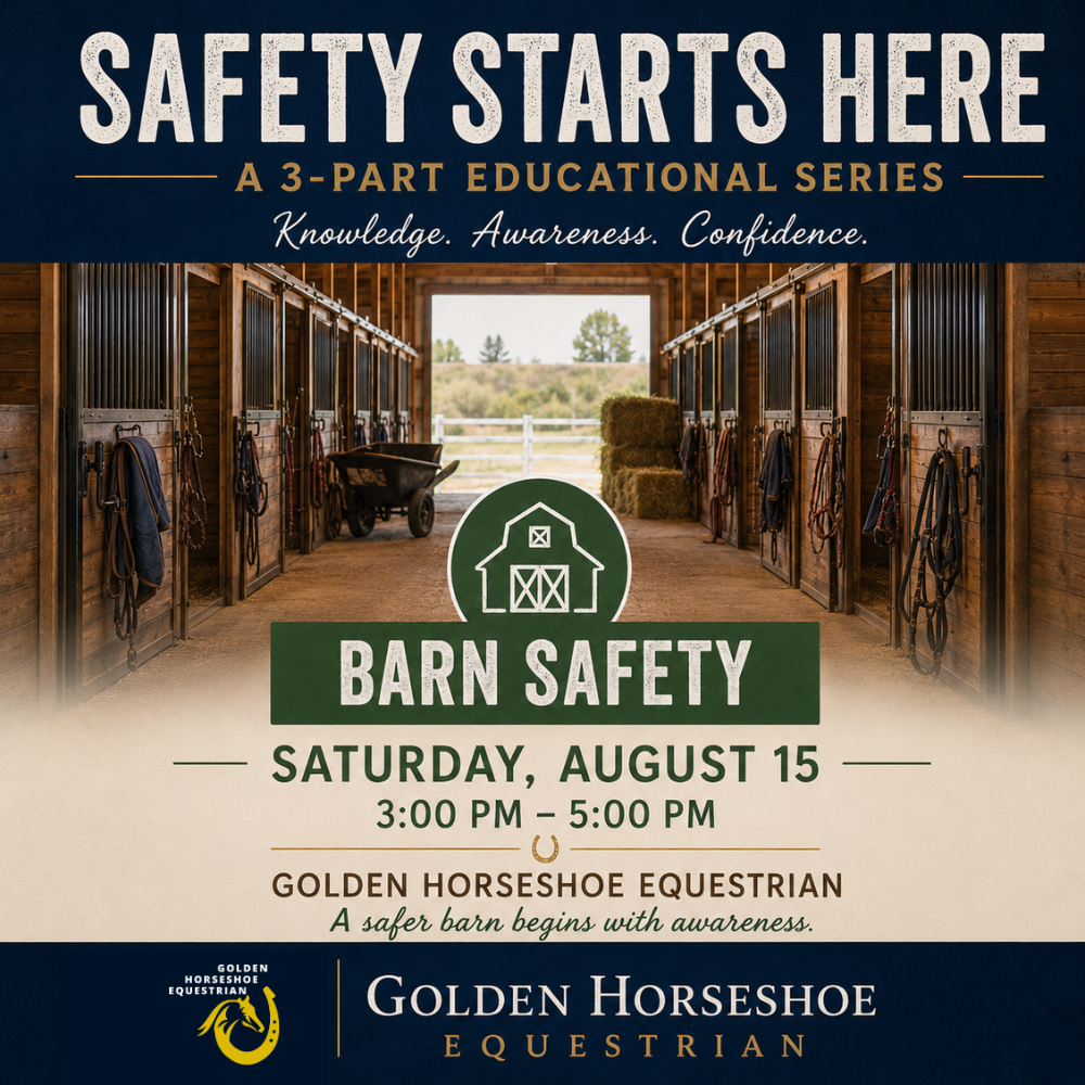 Safety Series Education Event - Trailer, Barn & Rider Safety