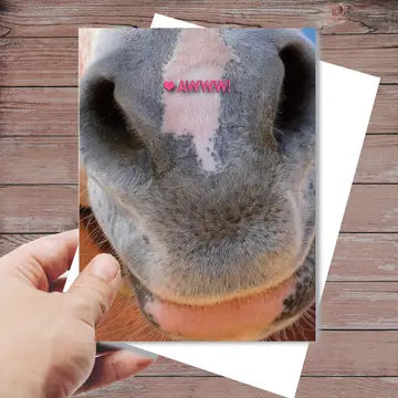 Horse Greeting Birthday Card