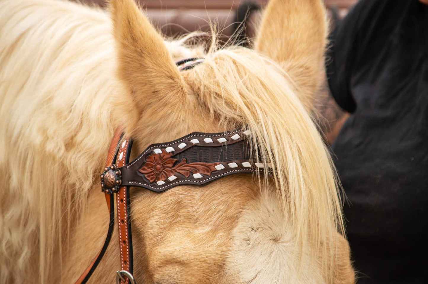 Josie Wales Fringe Headstall and Breast Collar Set