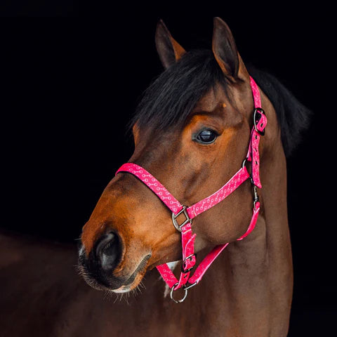 Halter Horze Claremont Pony