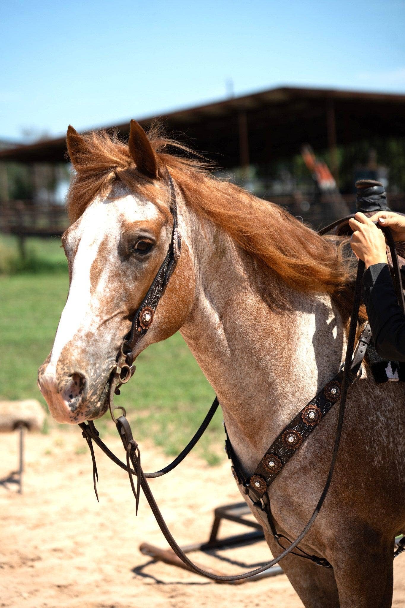 Hand Painted Paisley - Copper AB Rosette One Ear Headstall