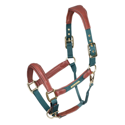 Velociti Lusso Padded Leather Halter with Breakaway