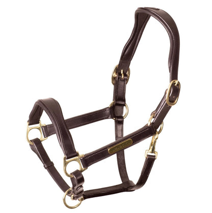 Velociti Rapida Cushioned Leather Headcollar