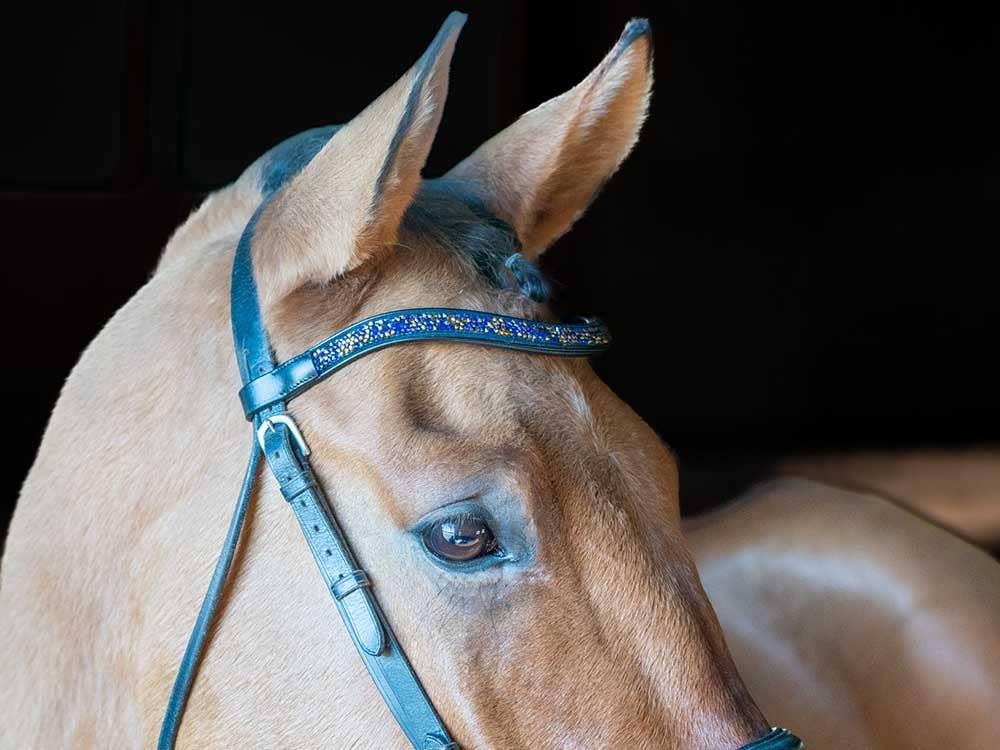 Grewal Equestrian Midsummer Browband - Thumbnail 2