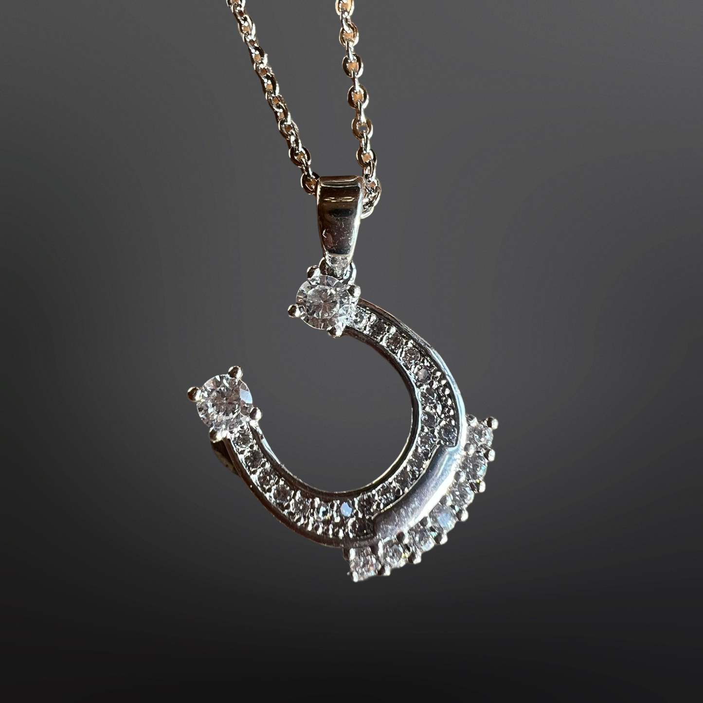 Equestrian Horseshoe Necklaces