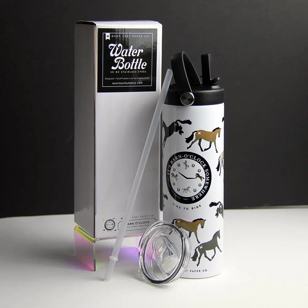 Stainless Steel Water Bottle
