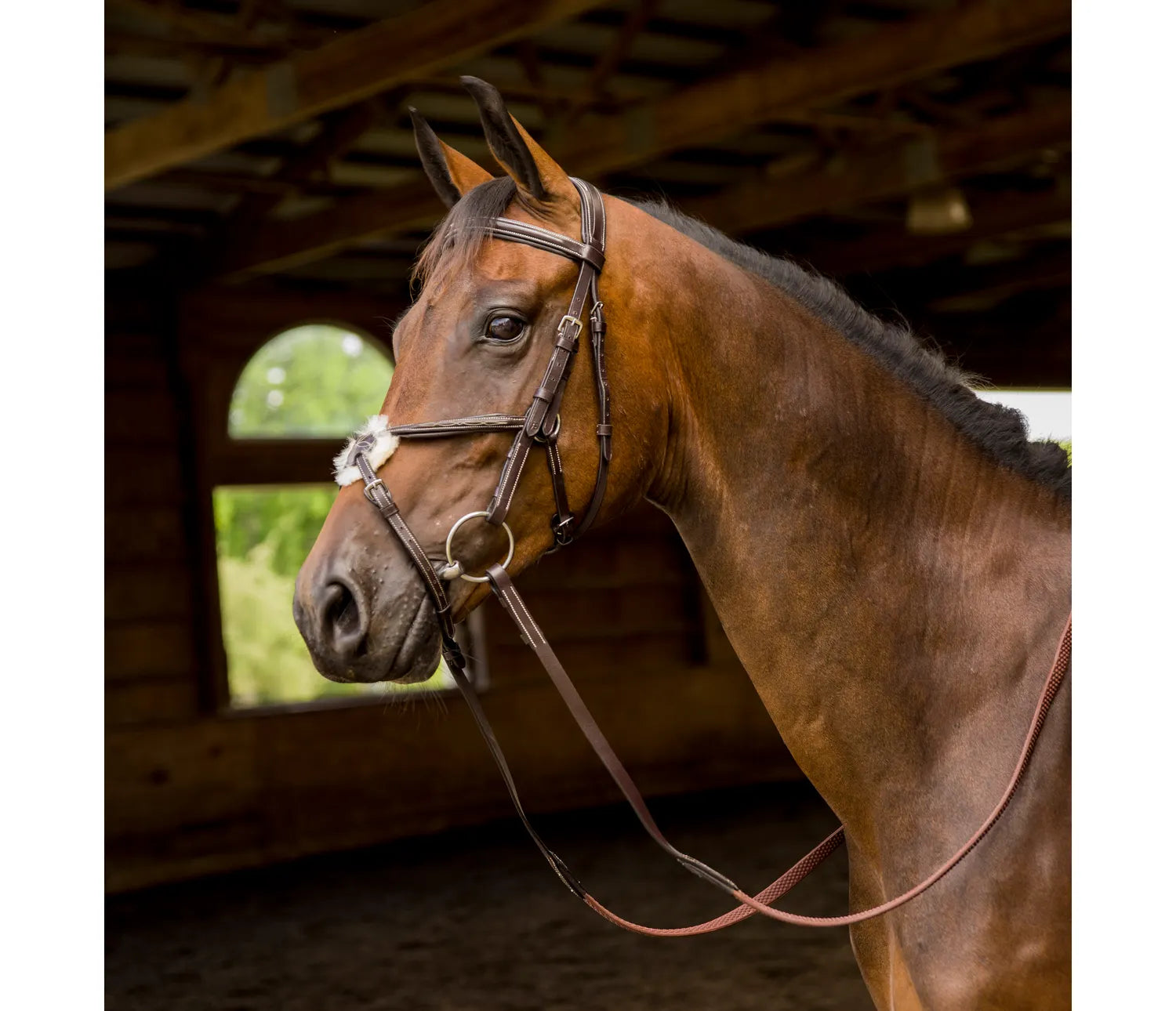 Avignon Woodside Bridle – Golden Horseshoe Equestrian