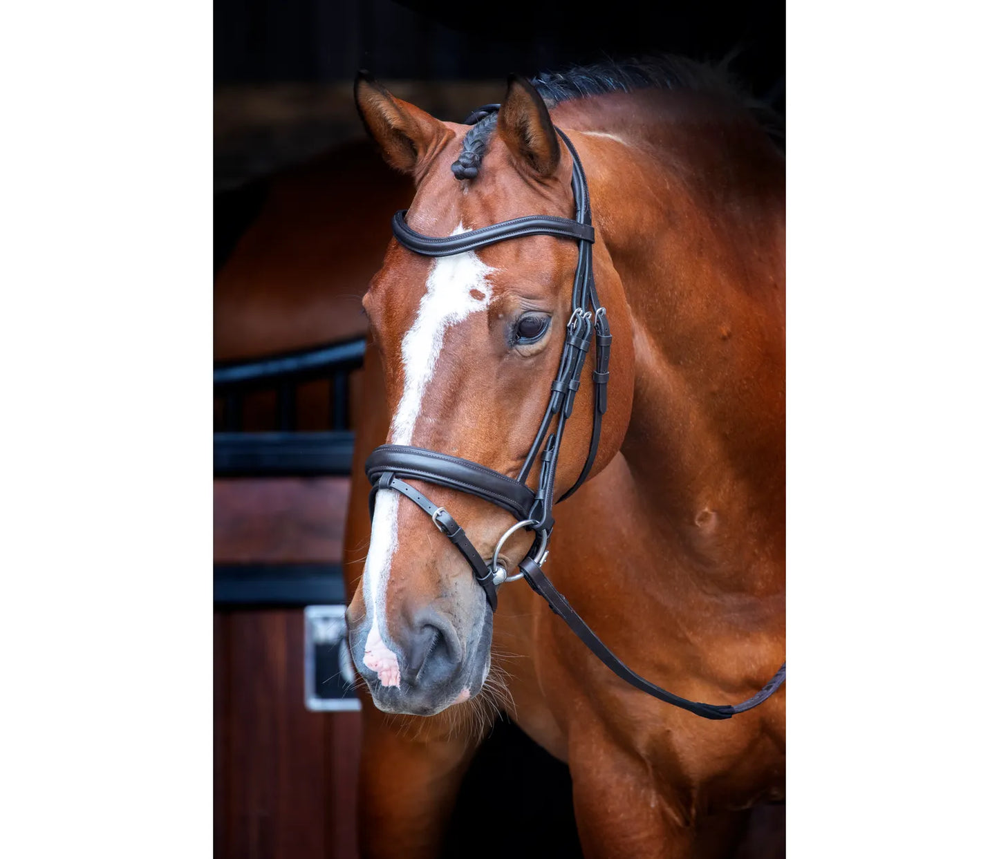 Velociti Dressage Bridle with Flash