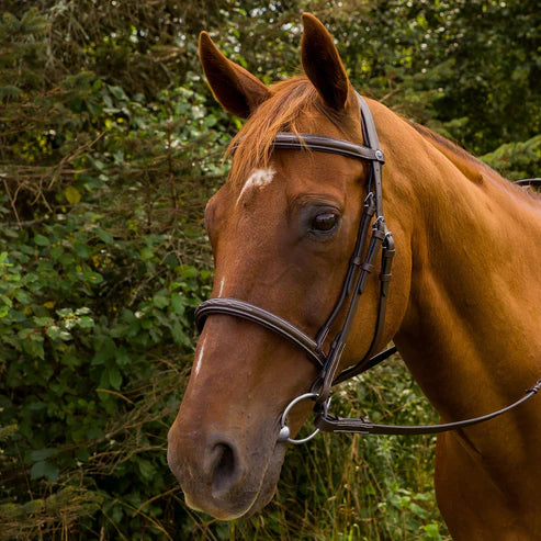 Henri de Rivel Pro Bridle