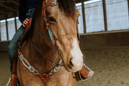 Annie Oakley Headstall and Breast Collar Set