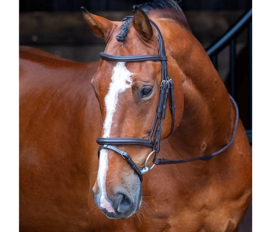 Velociti Padded Raised Flash Bridle