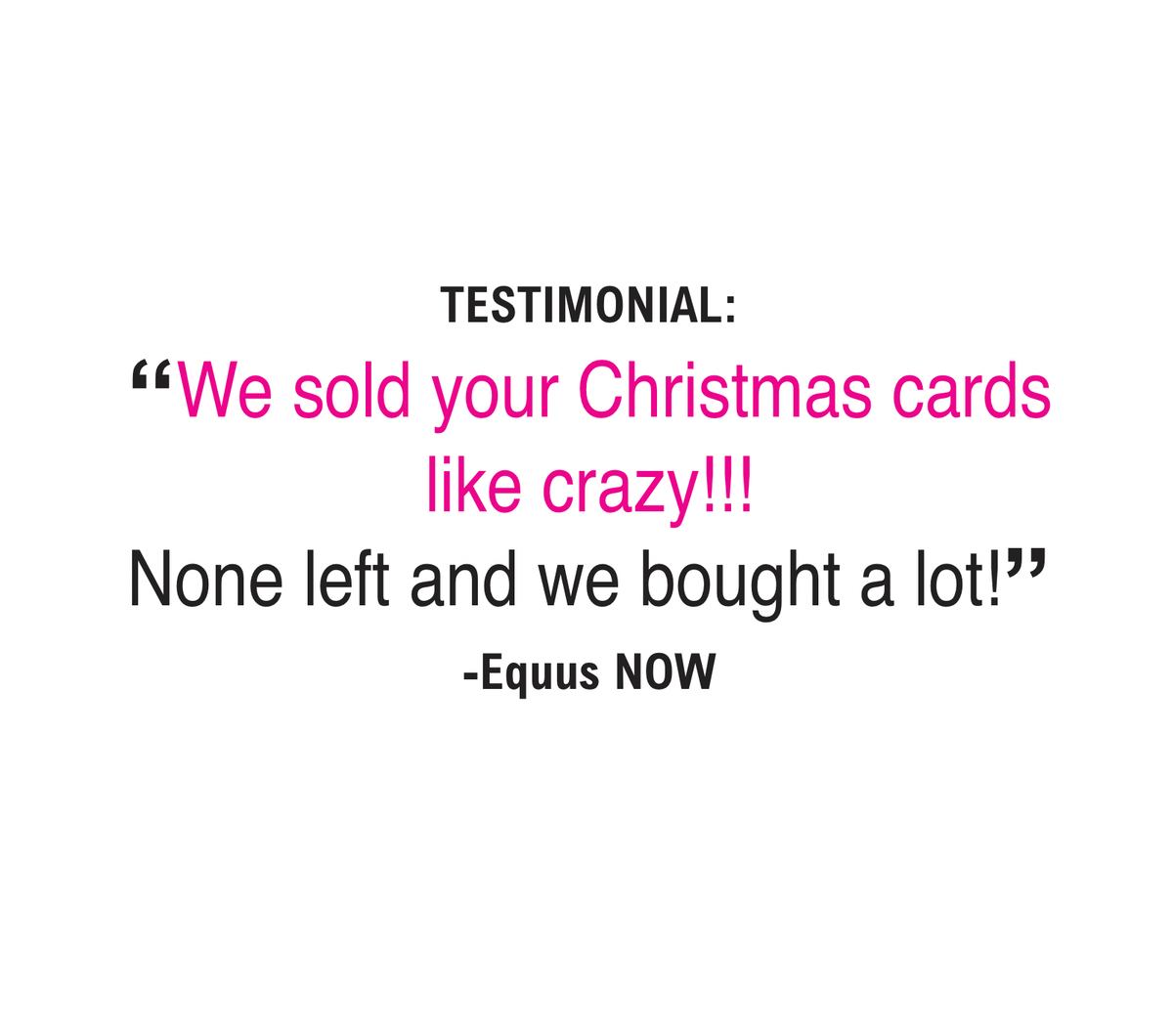 Horse Boxed Christmas Cards | Snowman Crunch | 8 Holiday