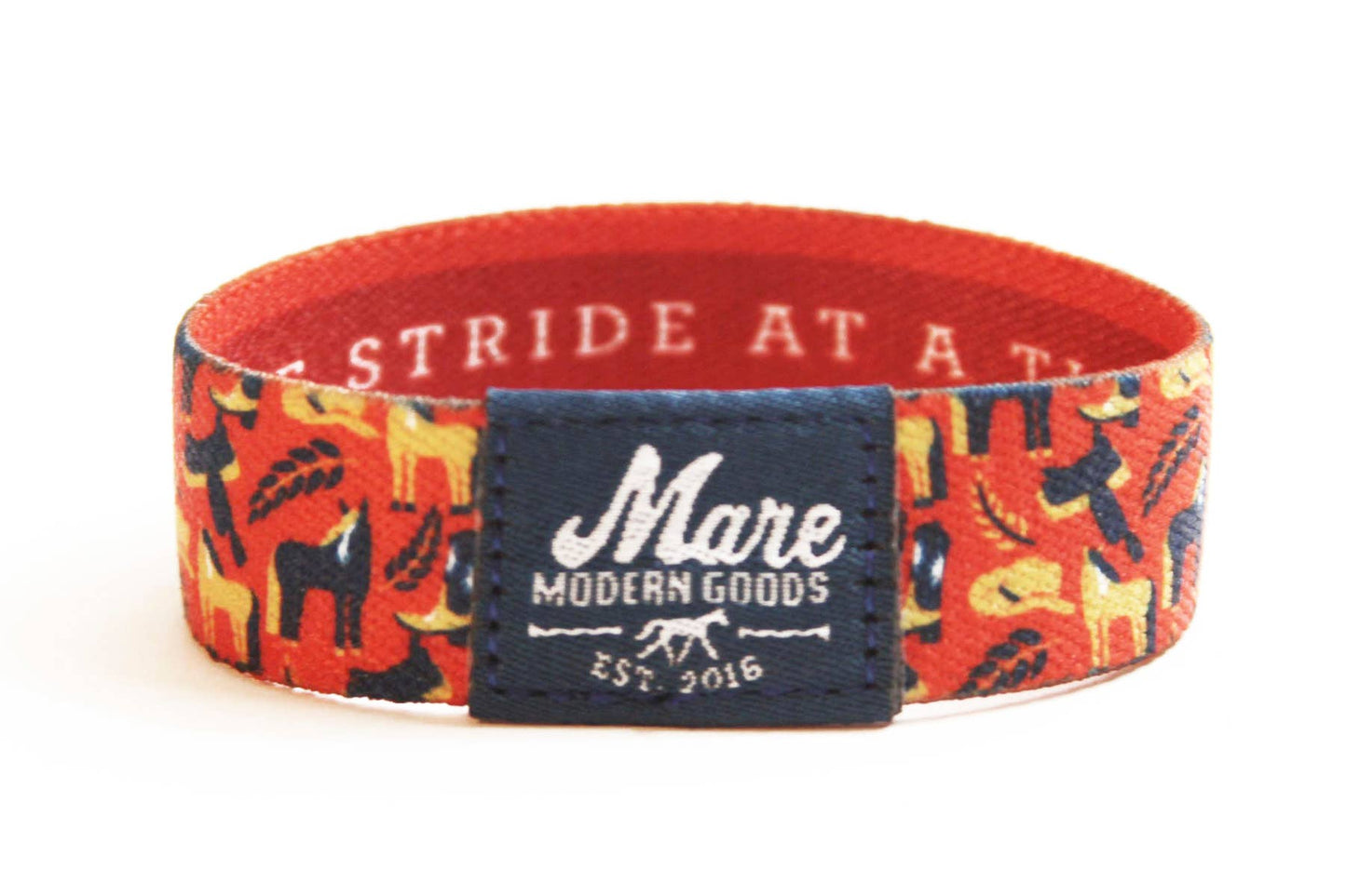 "One Stride at a Time" Mindfilly Band (Dunbar)