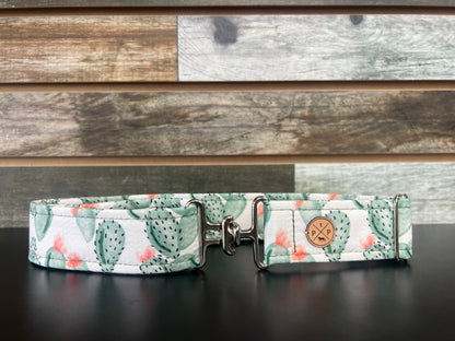 The Posh Pony Belts