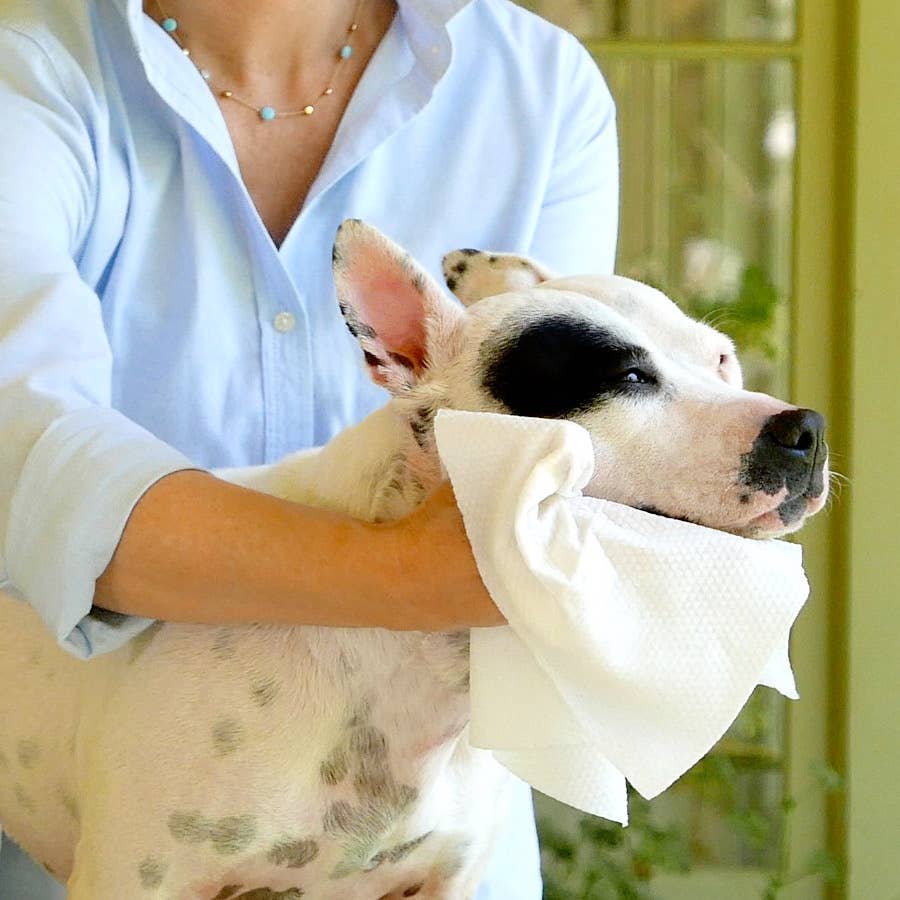 Skin & Coat Cloth Wipes XXL with dispenser