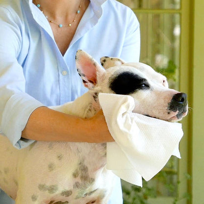 Skin & Coat Cloth Wipes XXL with dispenser