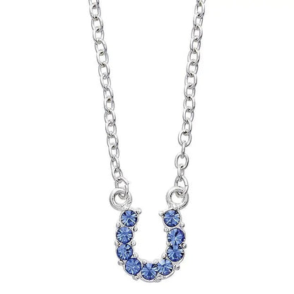 AWST Int'l Aqua Rhinestone Horseshoe Necklace w/ Horse Head Gift Box