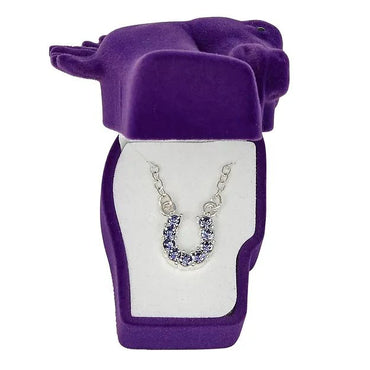 AWST Int'l Aqua Rhinestone Horseshoe Necklace w/ Horse Head Gift Box