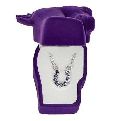 AWST Int'l Aqua Rhinestone Horseshoe Necklace w/ Horse Head Gift Box