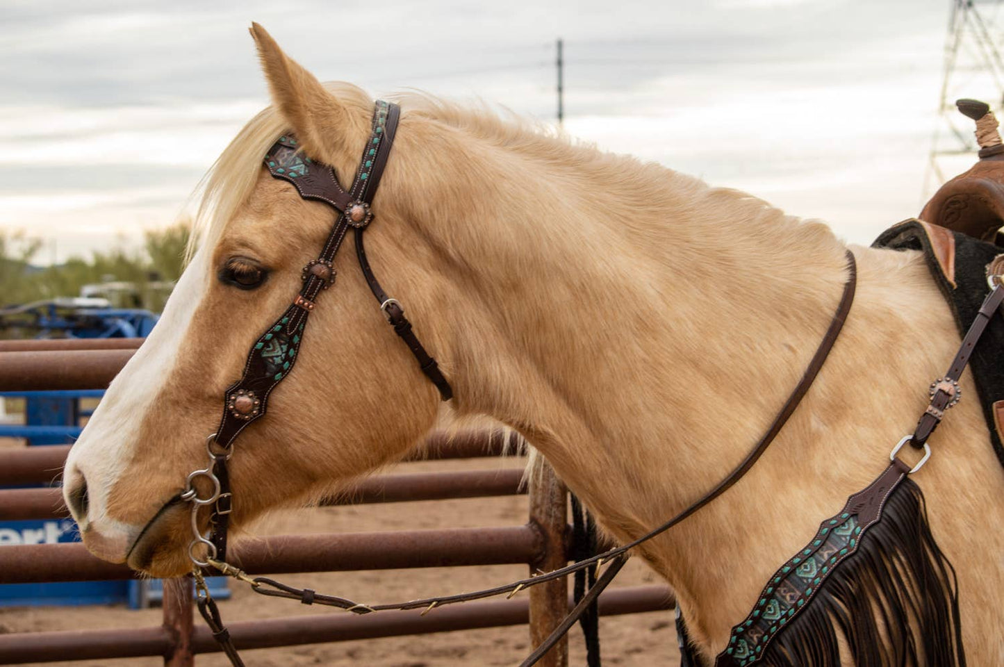 Maverick Fringe Headstall and Breast Collar Set