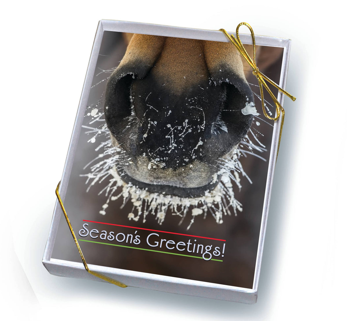 Horse Boxed Christmas Cards | Frosty Muzzle | 8 Holiday
