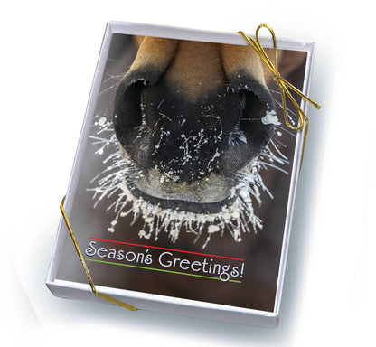 Horse Boxed Christmas Cards | Frosty Muzzle | 8 Holiday