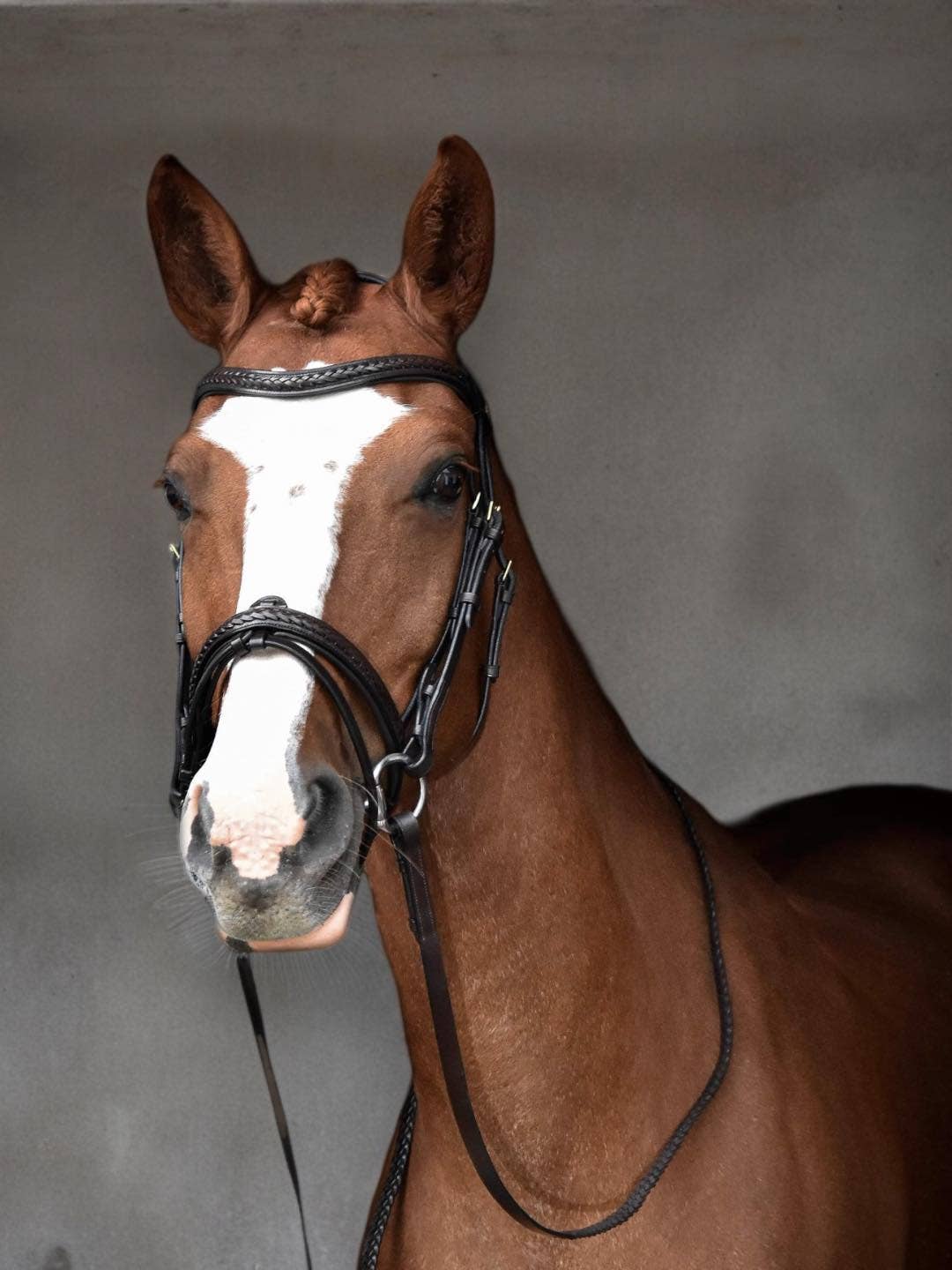 Bridle with classic braided details - European leather