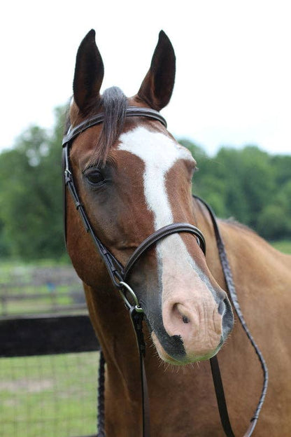 Henri de Rivel Pro Fancy Raised Bridle With Laced Reins